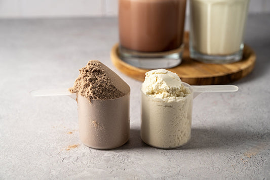 Discover Protein’s Value As a Food Supplement