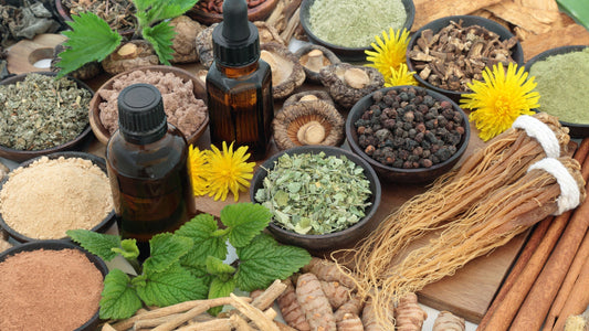 Adaptogens for Managing Occasional Stress: Ancient Wisdom Meets Modern Science