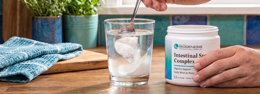 The Gut-Brain Connection: How Digestive Health Impacts Mental Wellness