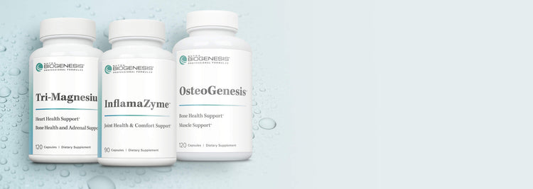 Joint & Muscle Support